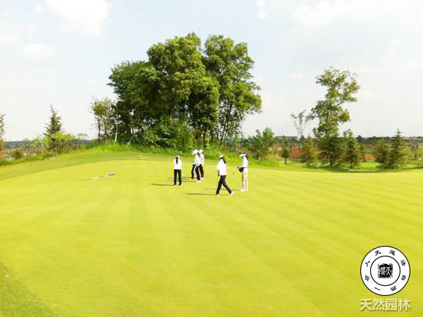 株洲市天然園林景觀有限公司,株洲園林景觀,石頭開采,園林假山設(shè)計(jì)施工,觀賞石材料哪里好